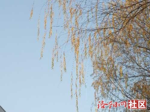 IMG_20221125_082951.jpg