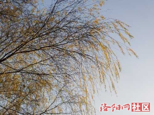 IMG_20221125_083052.jpg