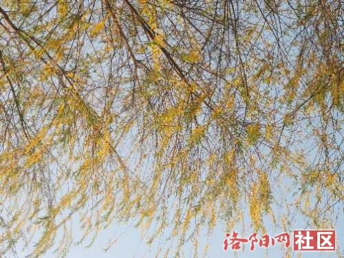 IMG_20221125_083145.jpg