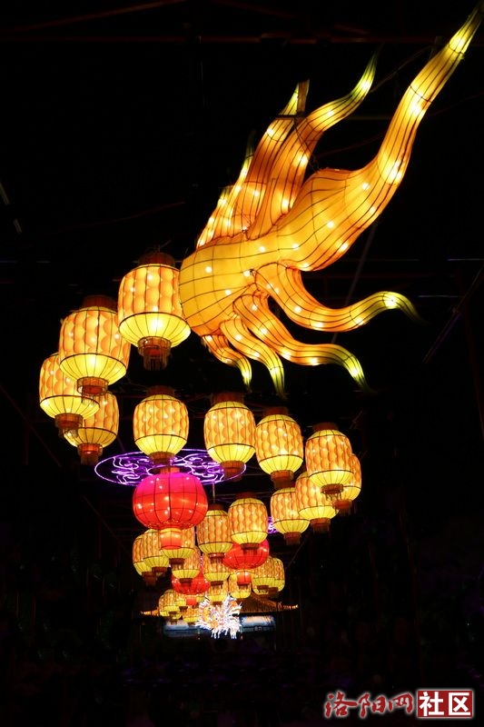 IMG_7255.JPG