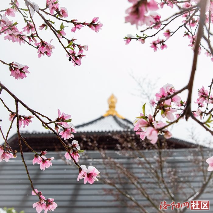 _B3A1293_副本.jpg