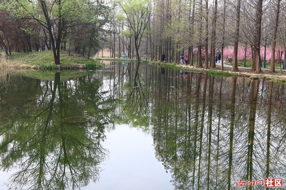 0IMG_8428_.jpg