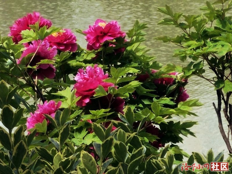 299b173175d5ed1ab1999f1bbb2cd69.jpg