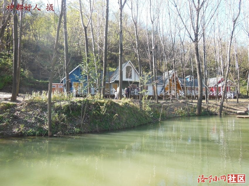DSCN0006.JPG
