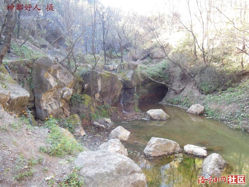 DSCN0019.JPG