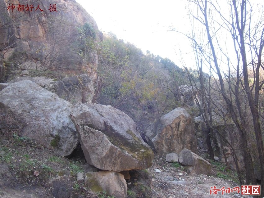 DSCN0026.JPG