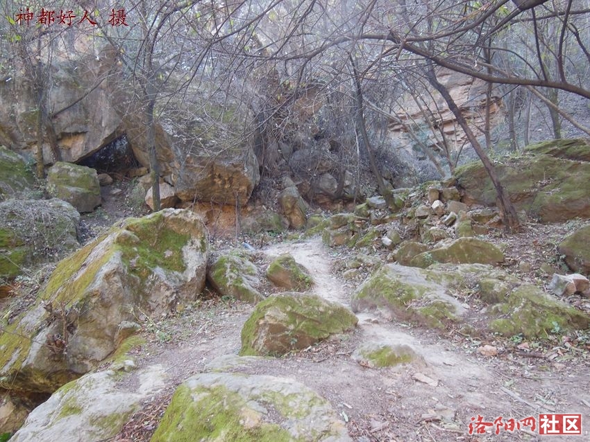 DSCN0032.JPG
