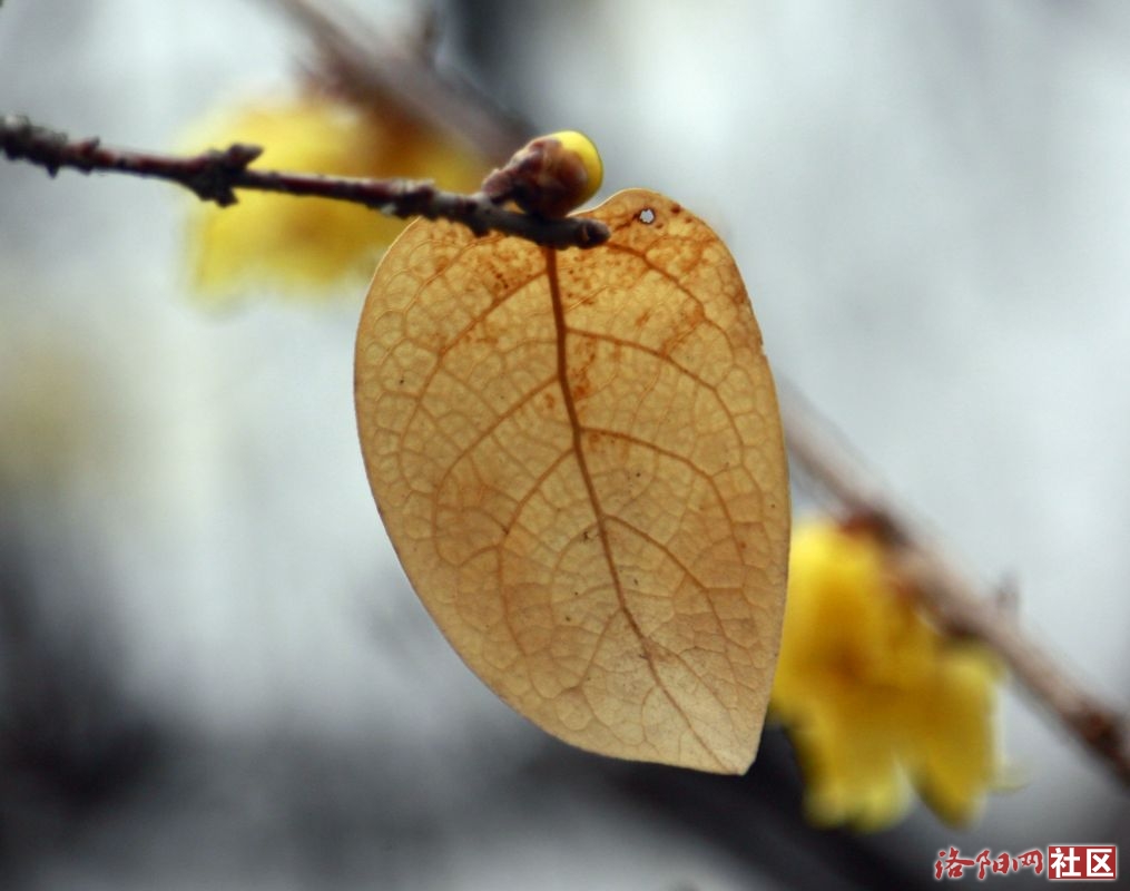 _MG_5746.JPG