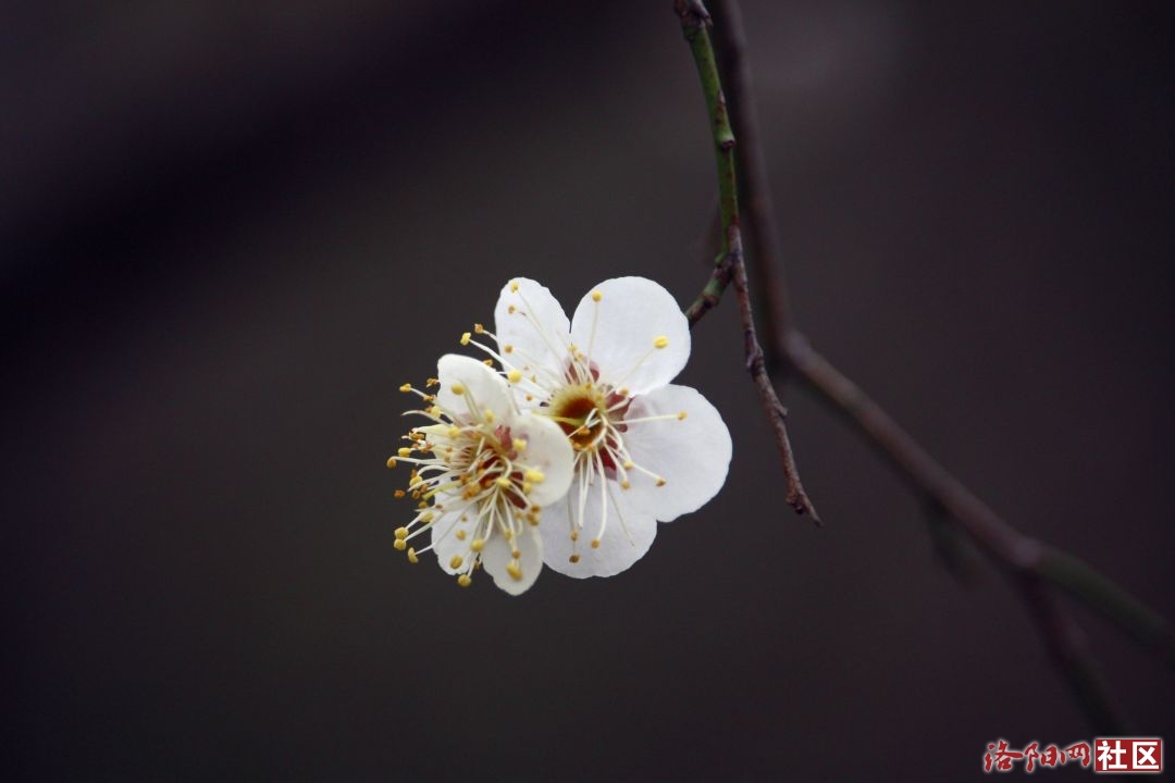 _MG_5757.JPG