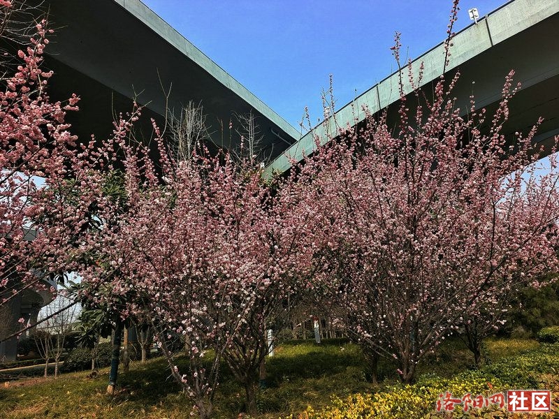 9b5932da696bdb8d684ae083a36d76c.jpg