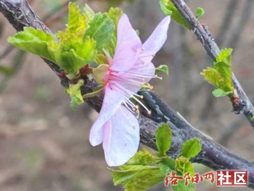 IMG_20240321_080145.jpg