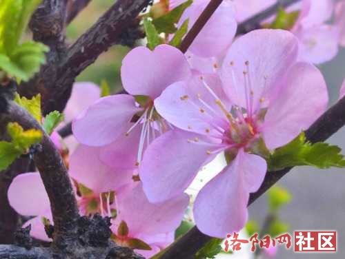 IMG_20240321_080135.jpg