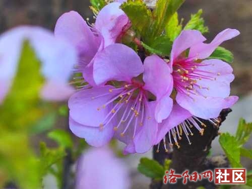 IMG_20240321_080125.jpg
