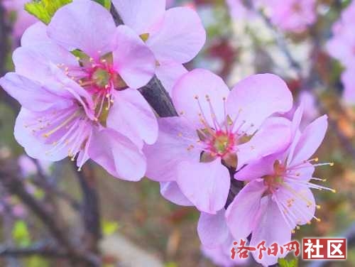 IMG_20240321_080051.jpg