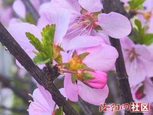 IMG_20240321_080030.jpg