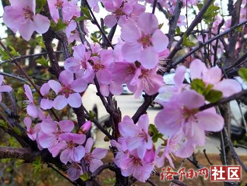 IMG_20240321_080413.jpg