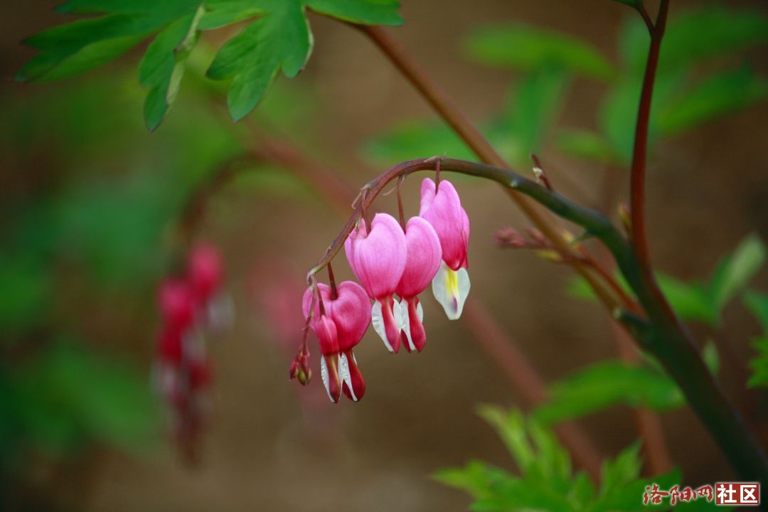 _MG_6581.JPG