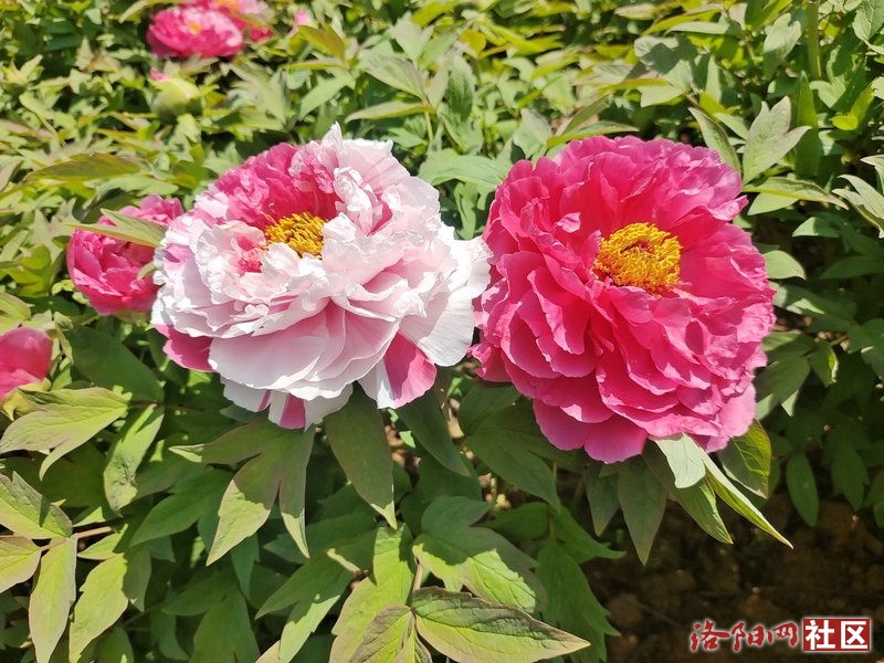 0c065ef3fed5dac36862d83e5f29abe.jpg