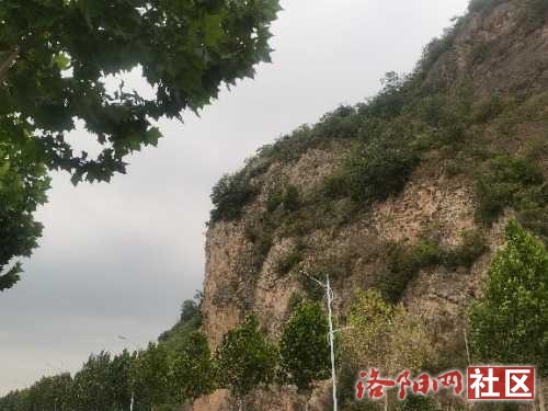 IMG_20240616_095200.jpg