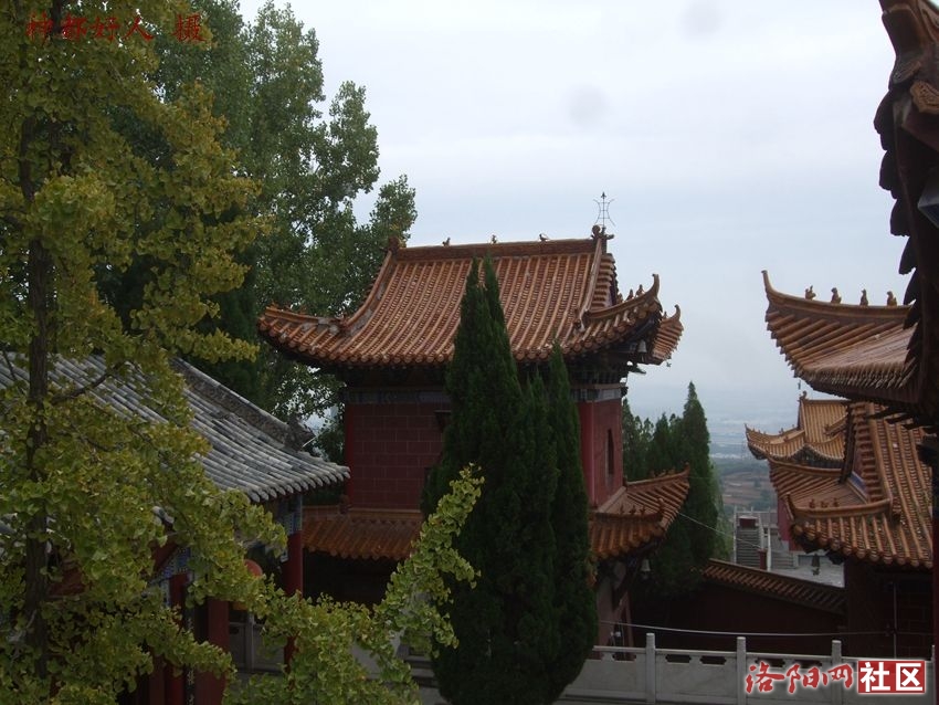 DSCF4017.JPG