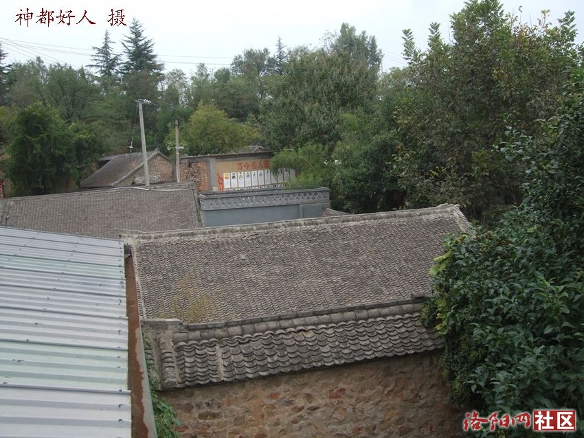 DSCF4046.JPG
