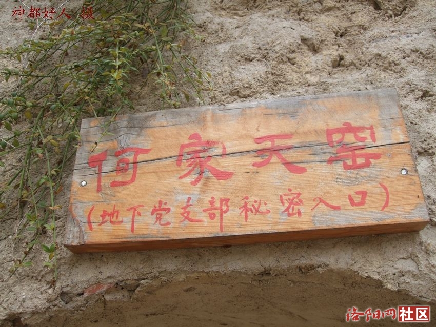 DSCF4048.JPG