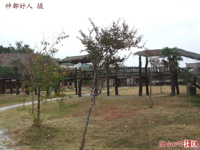 DSCF4068.JPG