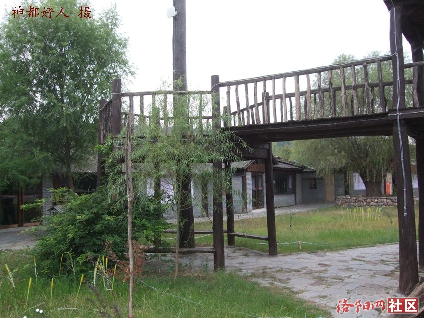 DSCF4136.JPG