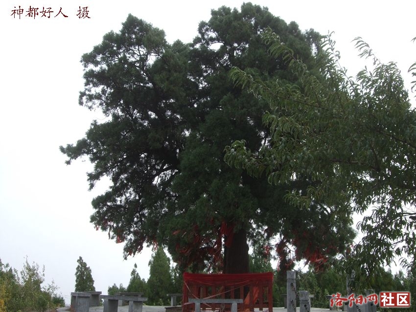DSCF4004.JPG