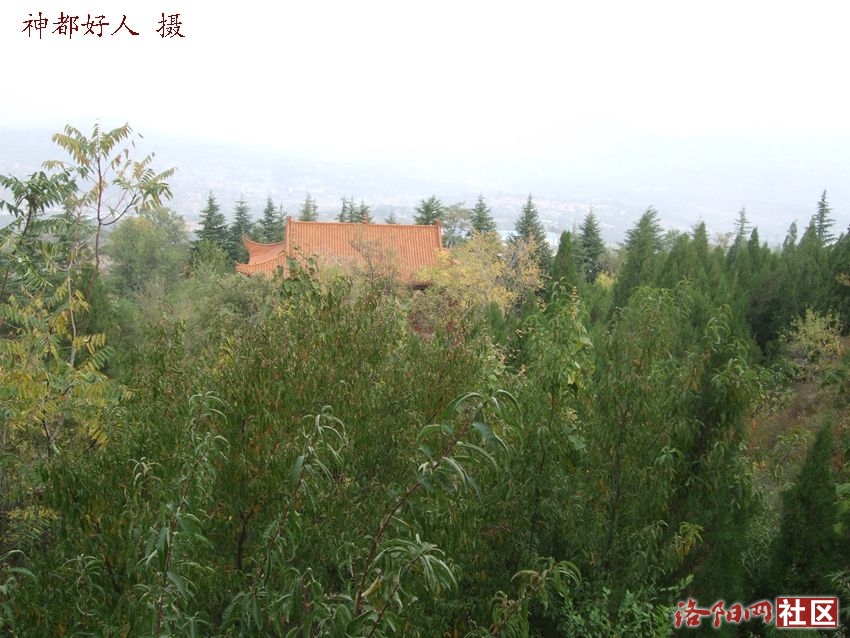 DSCF4007.JPG