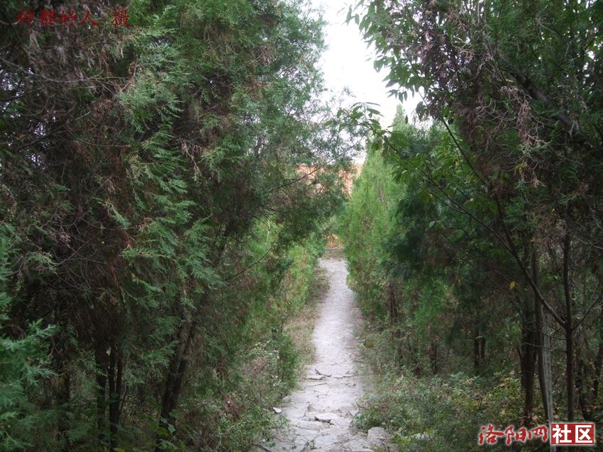 DSCF4013.JPG
