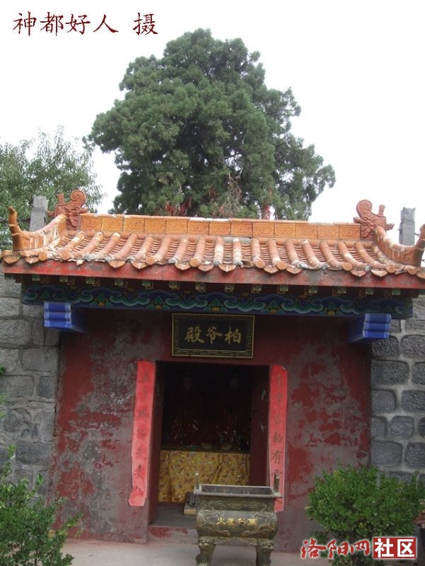 DSCF4019.JPG