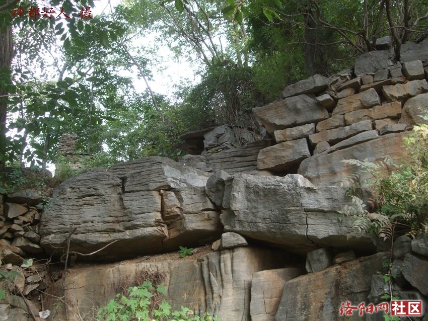DSCF4024.JPG