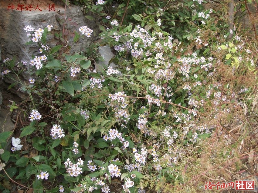 DSCF4028.JPG