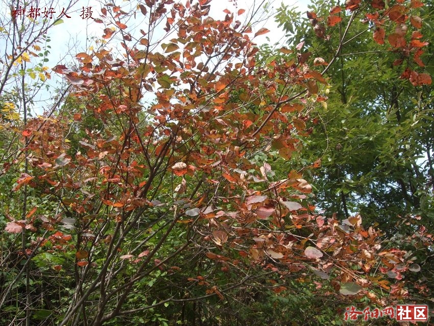 DSCF4037.JPG