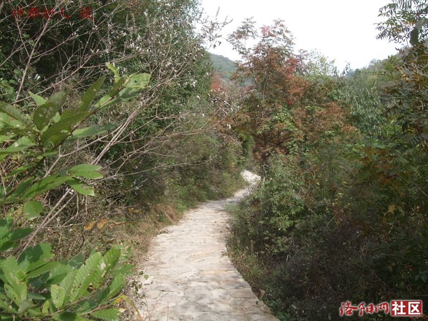 DSCF4038.JPG