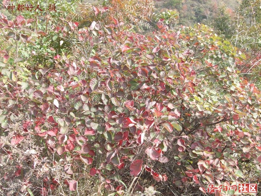 DSCF4039.JPG