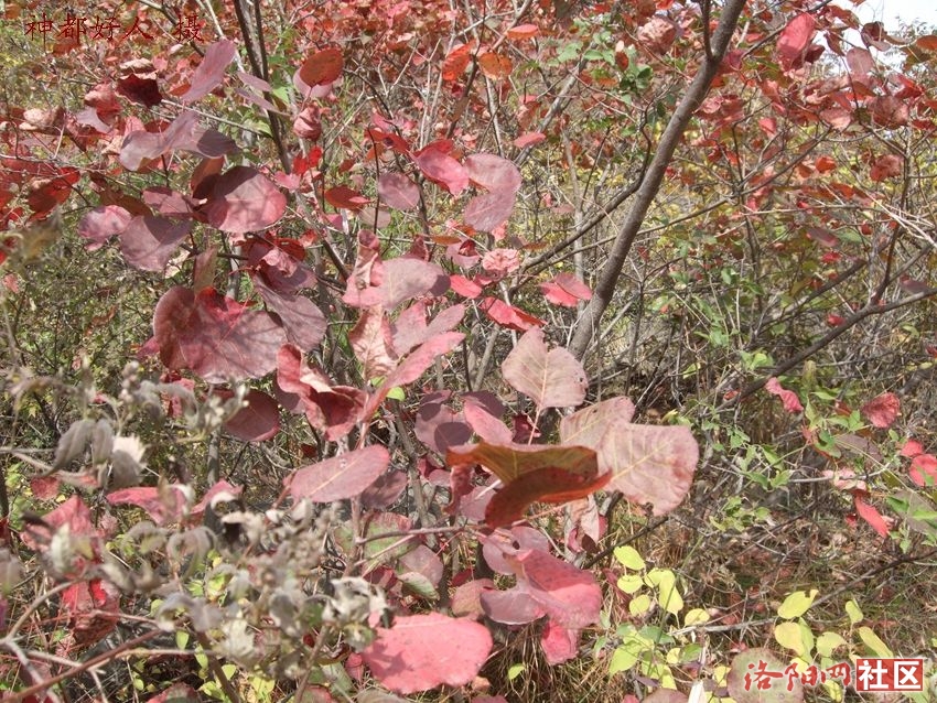 DSCF4045.JPG