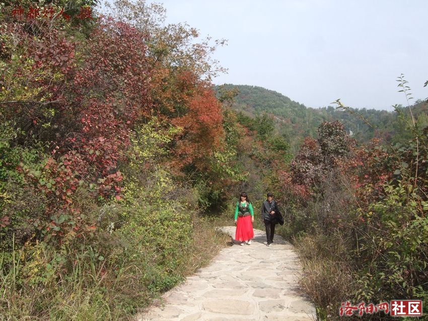 DSCF4050.JPG