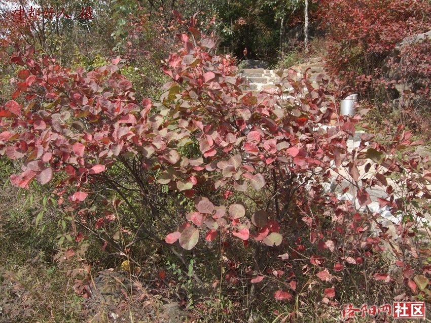 DSCF4065.JPG