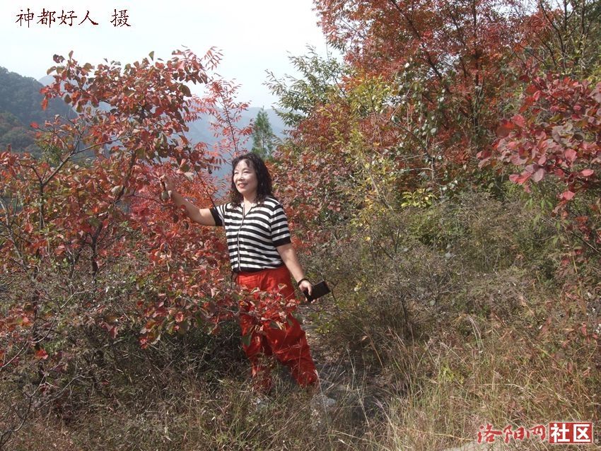 DSCF4074.JPG