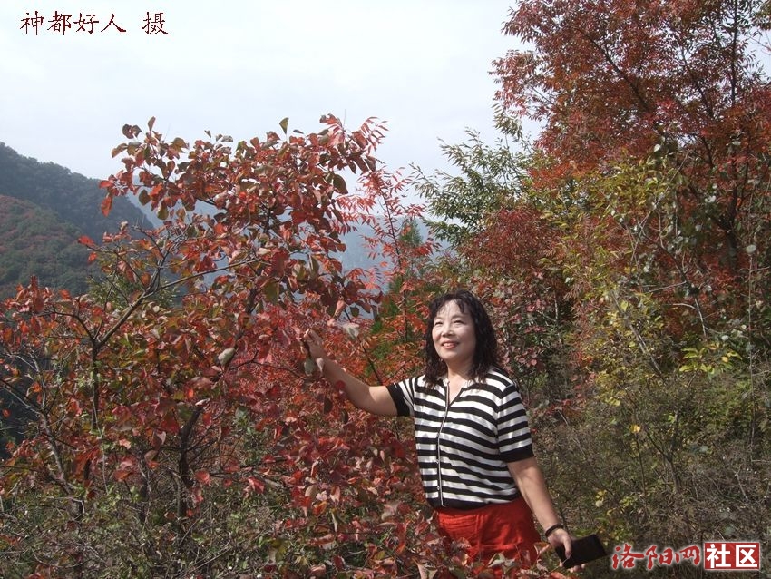 DSCF4075.JPG