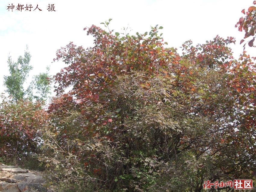 DSCF4082.JPG