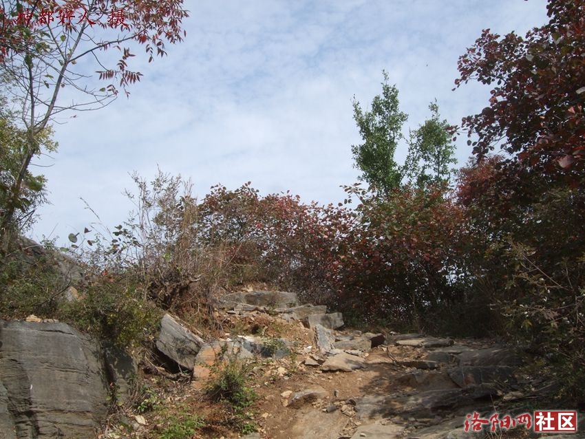 DSCF4083.JPG