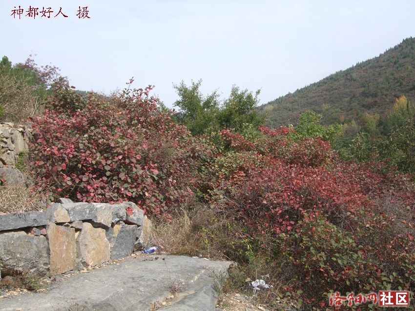 DSCF4084.JPG