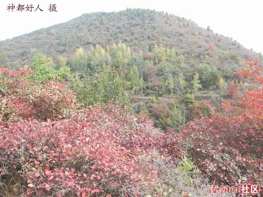 DSCF4089.JPG
