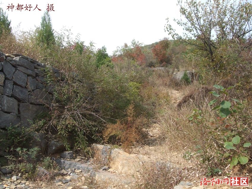 DSCF4091.JPG