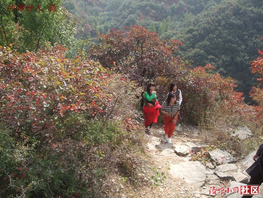 DSCF4092.JPG