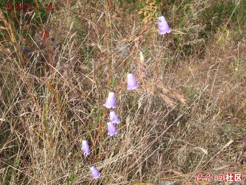 DSCF4093.JPG