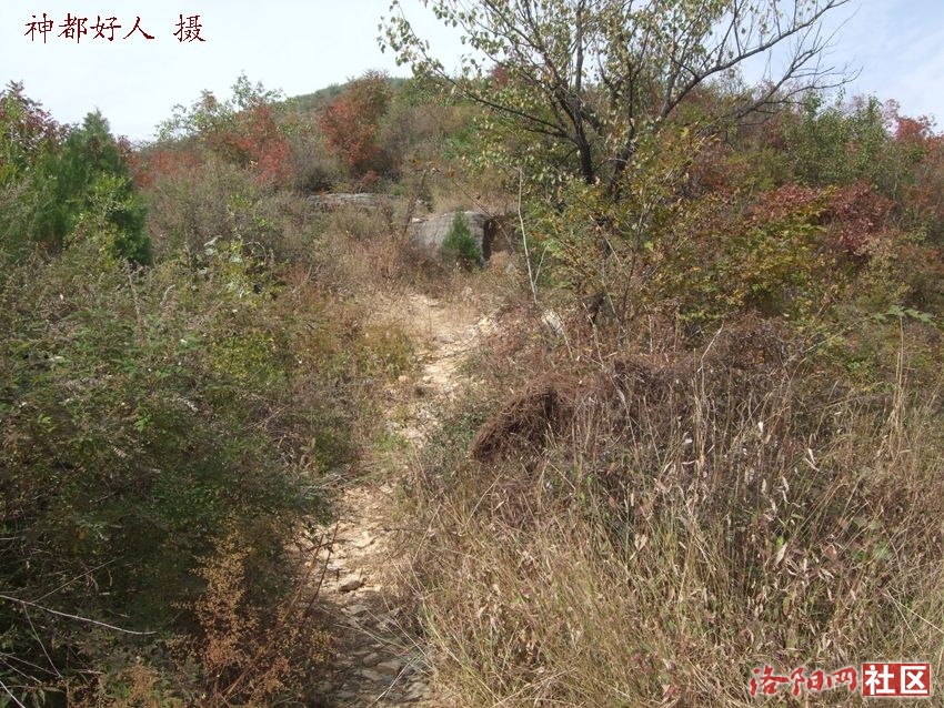 DSCF4095.JPG
